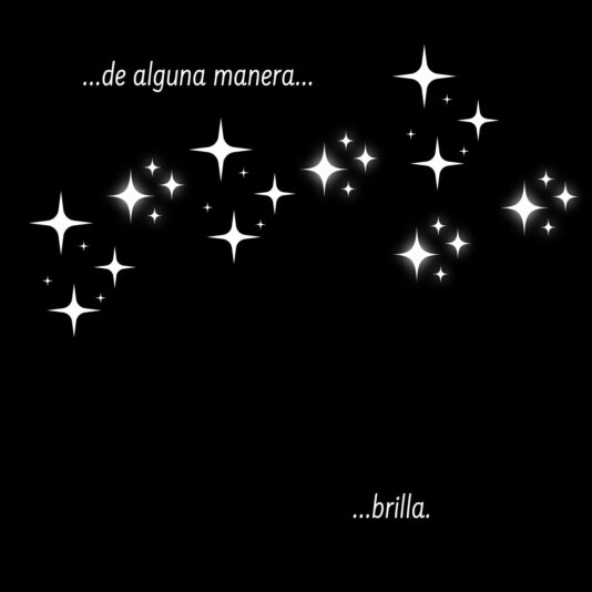 brillo5